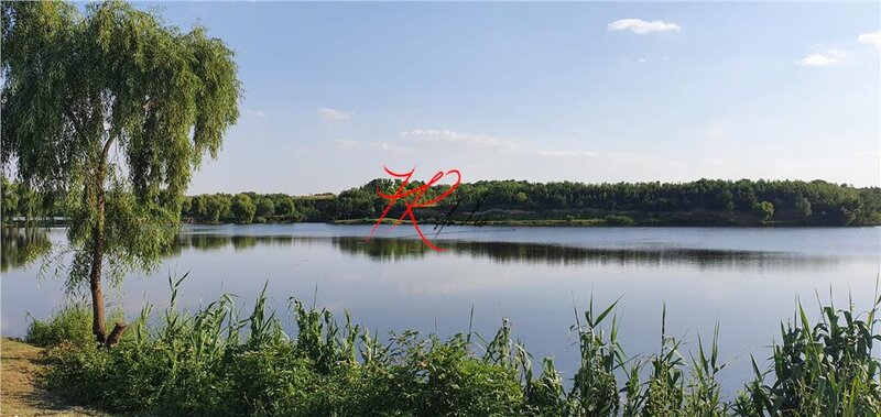 Petrachioaia Vanzare teren parcelabil langa Bucuresti - Petrachioaia